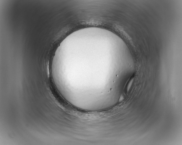 X0000074960020200609221809