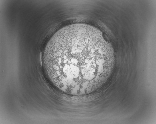 X0000074960022200609221809