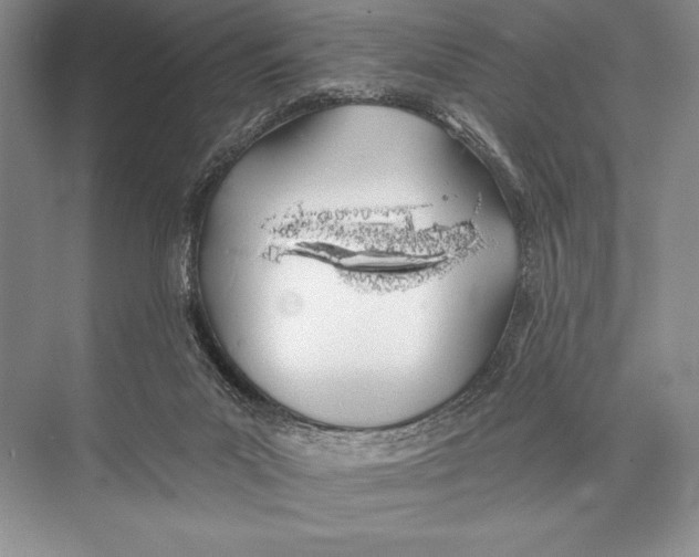 X0000074960023200609221809