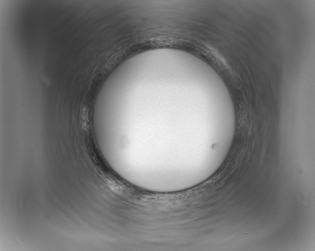 X0000074960025200609221808