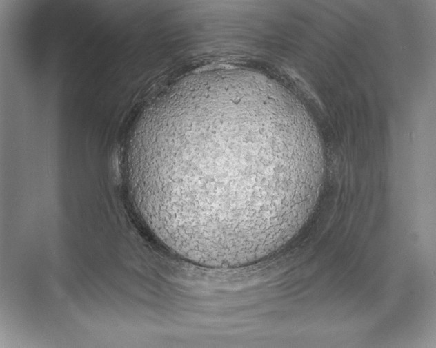 X0000074960026200609221808