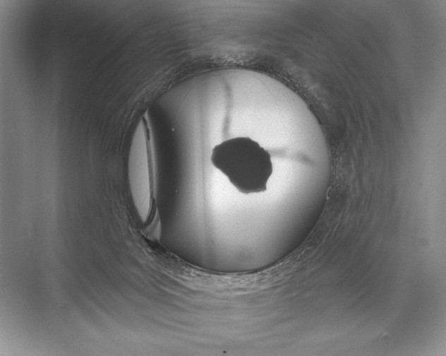 X0000074960027200609221808