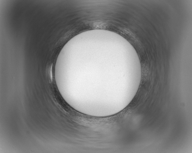 X0000074960028200609221808