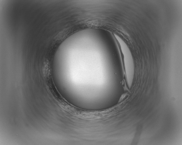 X0000074960029200609221808