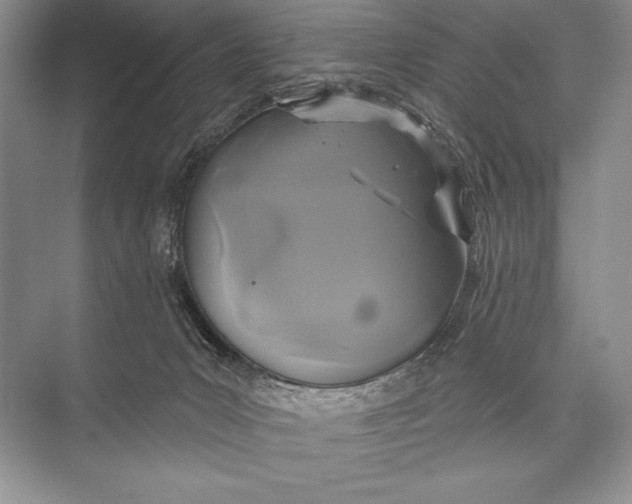 X0000074960031200609221808