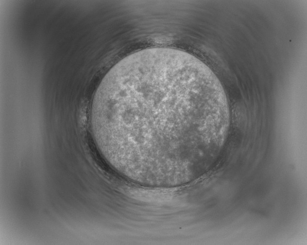 X0000074960032200609221808