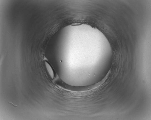 X0000074960033200609221808