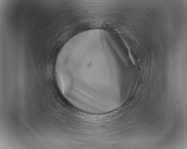 X0000074960035200609221808