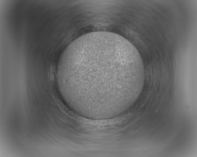 X0000074960038200609221808