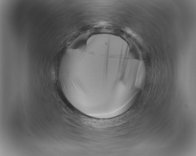 X0000074960039200609221808