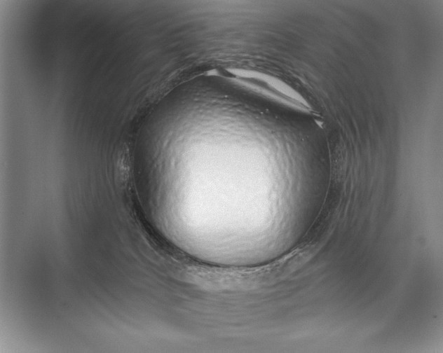 X0000074960040200609221808