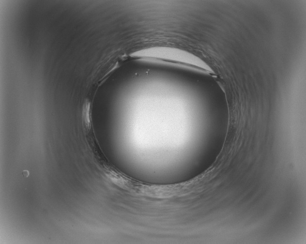 X0000074960041200609221808