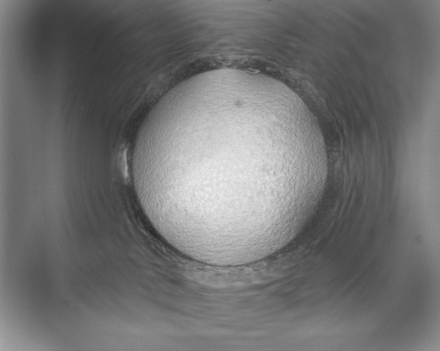 X0000074960042200609221808