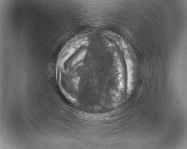 X0000074960043200609221808