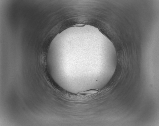 X0000074960044200609221808