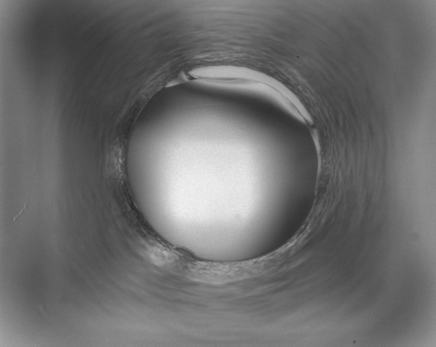 X0000074960045200609221808