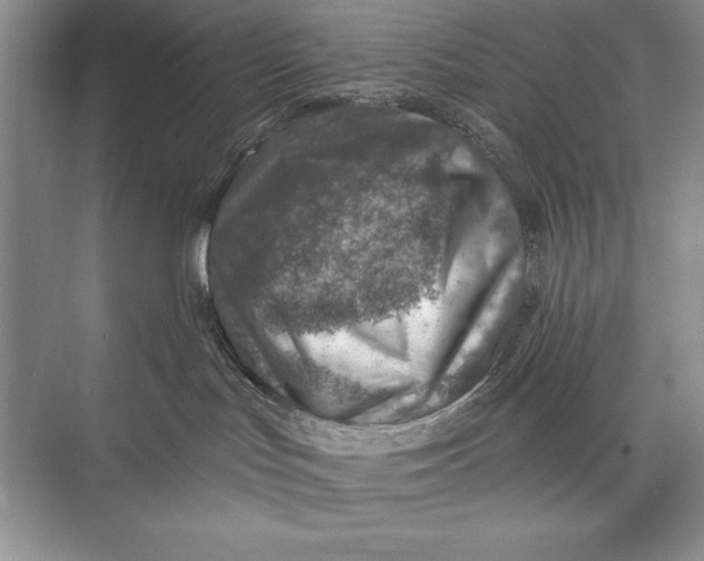 X0000074960047200609221808