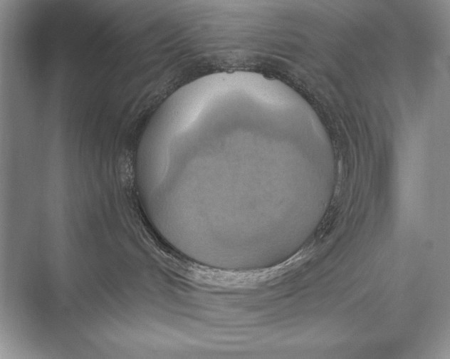 X0000074960048200609221808