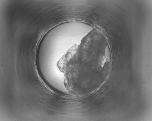 X0000074960049200609221807