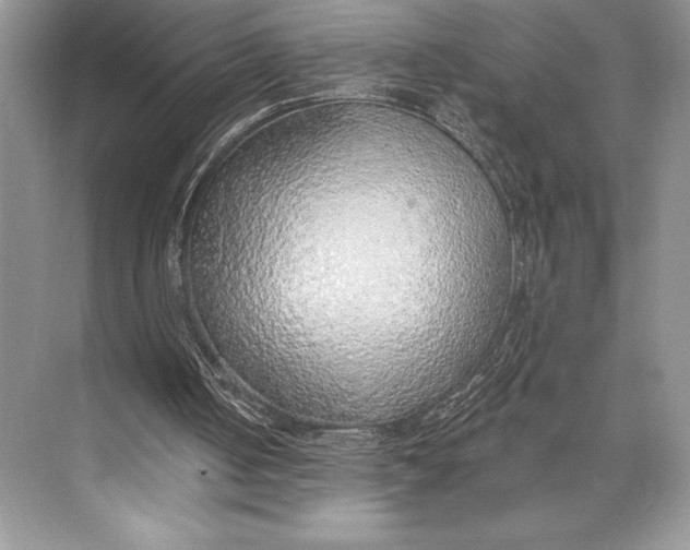 X0000074960050200609221807