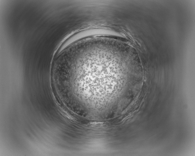 X0000074960052200609221807