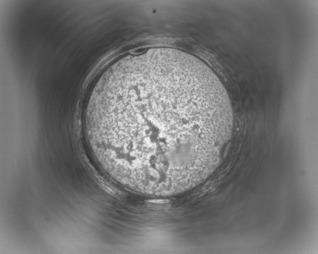 X0000074960053200609221807