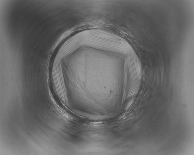 X0000074960054200609221807