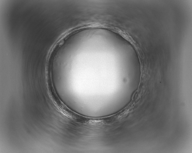 X0000074960055200609221807