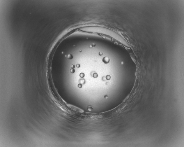 X0000074960056200609221807