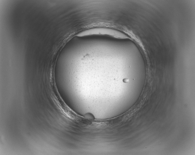 X0000074960057200609221807