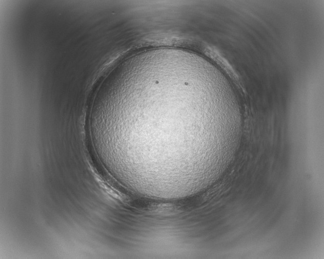 X0000074960058200609221807