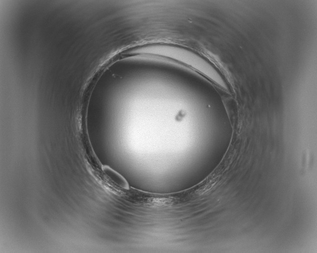 X0000074960060200609221807