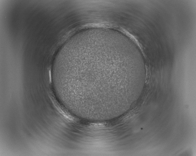 X0000074960061200609221807