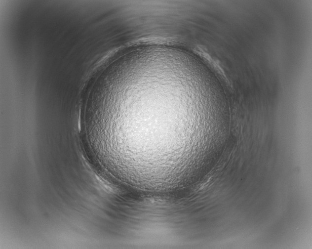 X0000074960062200609221808