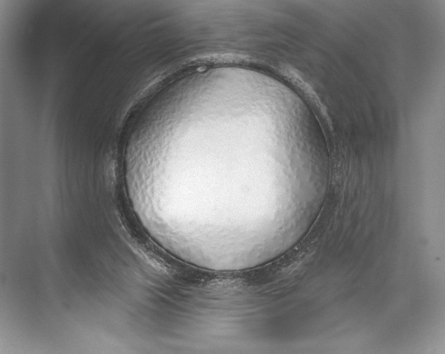 X0000074960063200609221808