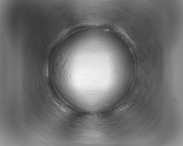 X0000074960068200609221808