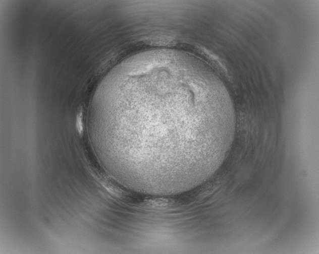 X0000074960069200609221808