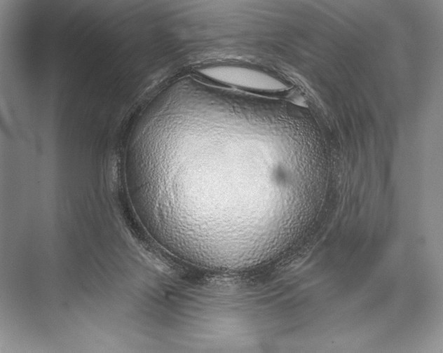 X0000074960071200609221808