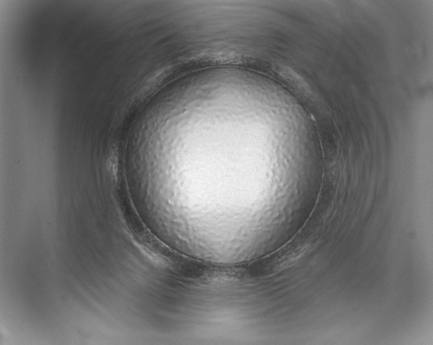 X0000074960072200609221808