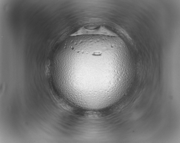 X0000074960073200609221808