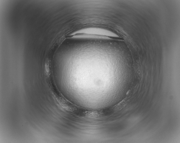 X0000074960074200609221808