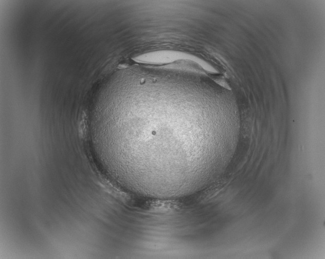 X0000074960077200609221808