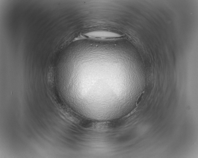 X0000074960078200609221808