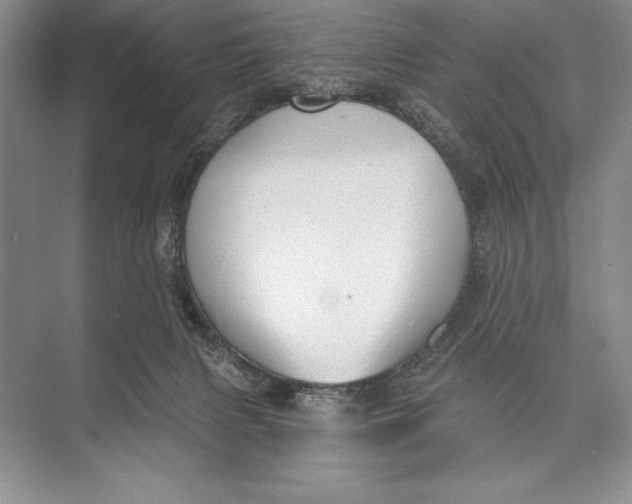 X0000074960079200609221808