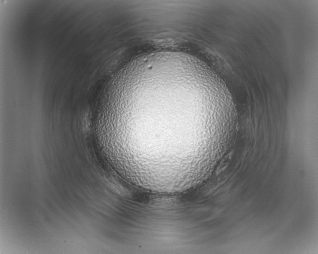 X0000074960081200609221808