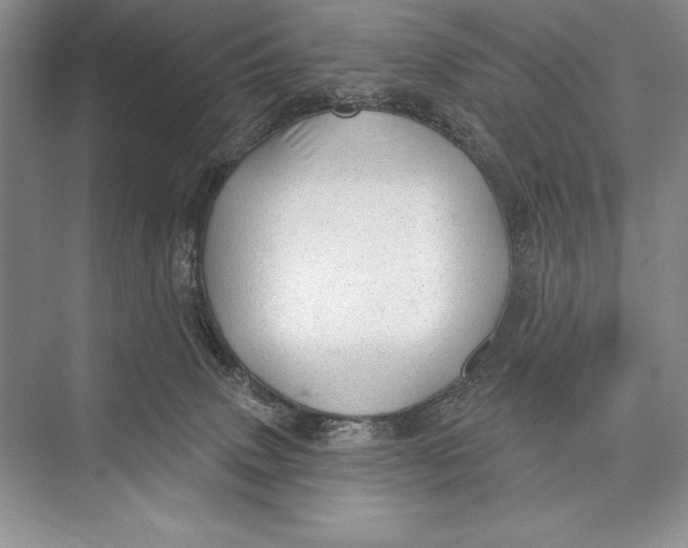 X0000074960083200609221808