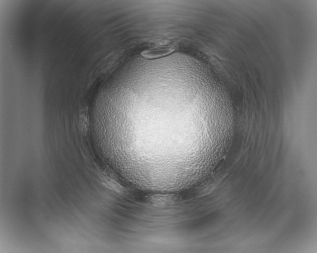 X0000074960085200609221808