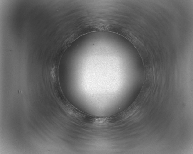 X0000074960088200609221808