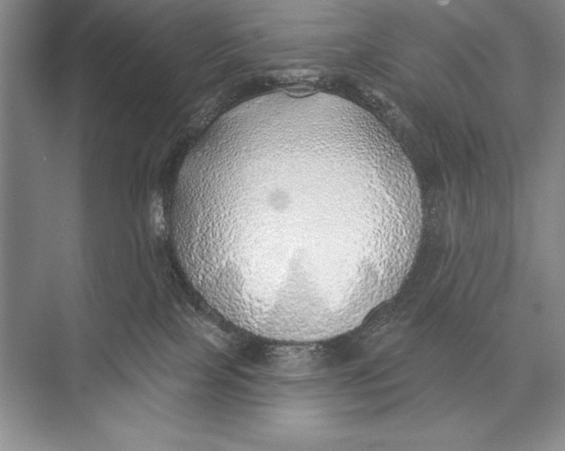 X0000074960089200609221808