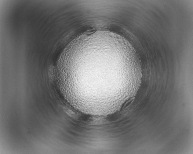 X0000074960093200609221808